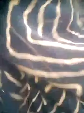 Snapshot of Amaya_Bajwa chatting on 10-29-25, 01:15 Amaya Bajwa online show from 10-29-25, 01:15