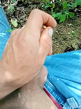 mmarvis za78 93 21cm online show from 10-28-25, 05:45