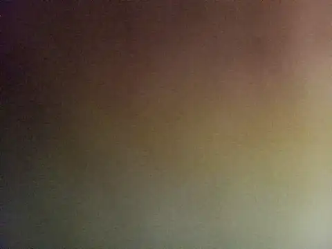 Lauren Amabel online show from 11-06-25, 07:29