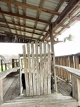 32XRedBeard online show from 03-03-26, 10:17