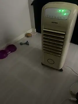 BCFZD online show from 02-05-26, 05:47