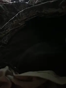 BCFZD online show from 09-27-25, 03:23