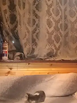 rosse26830 online show from 09-28-25, 04:25