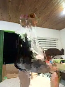 pegaso888888 online show from 05-07-26, 03:22