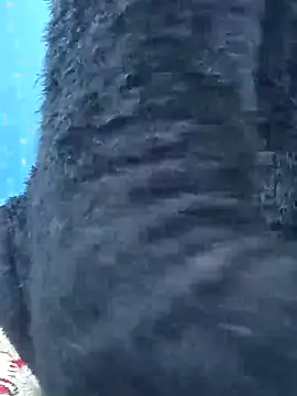 Snehalive online show from 11-26-25, 05:07