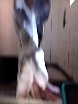 Snapshot of Dube501 chatting on 10-12-25, 05:42 Dube501 online show from 10-12-25, 05:42