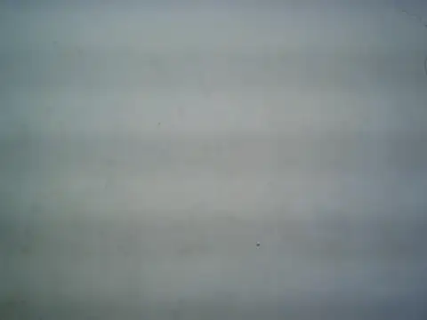 Snapshot of michel1520 chatting on 07-16-26, 11:29 michel1520 online show from 07-16-26, 11:29