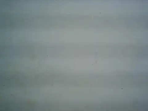 Snapshot of michel1520 chatting on 07-20-26, 11:34 michel1520 online show from 07-20-26, 11:34