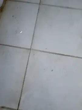 sexodoll1990 online show from 02-16-26, 01:59