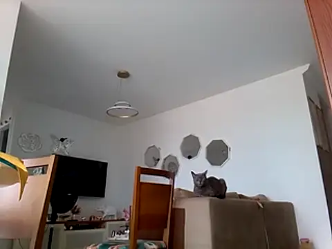 Munnoki online show from 03-01-26, 10:37