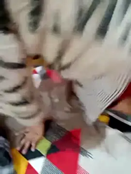 rameshjisex online show from 12-02-25, 03:47