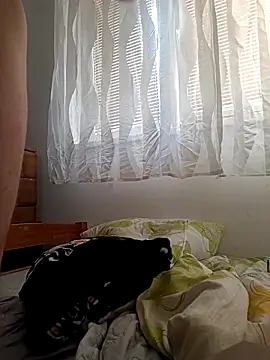 Bisexualhard23 online show from 03-22-26, 08:27