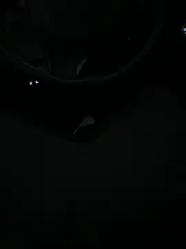 DutchPublic online show from 01-19-25, 04:36