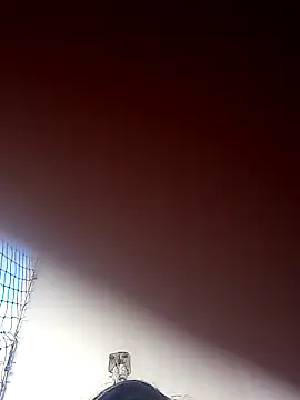 Donnasexy5 online show from 03-07-25, 08:00