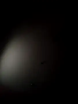 aAsdGf online show from 02-07-26, 06:21