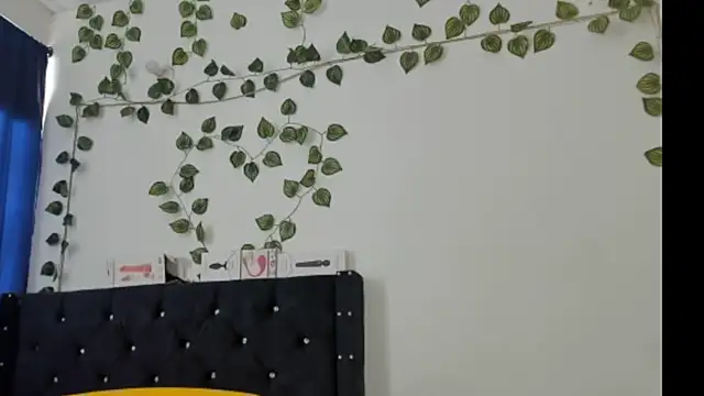 miaa--pervert online show from 01-25-25, 08:42