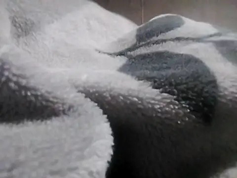 LaneYam online show from 03-12-26, 08:24