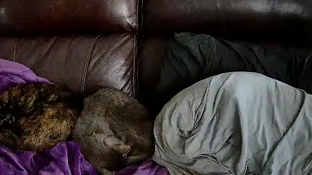 StonerPrincessGenie online show from 03-06-25, 08:37