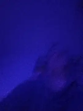 Paolo7619 online show from 11-03-25, 05:05