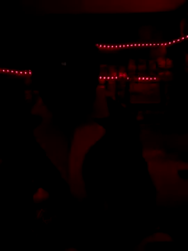 Blade Ryder666 online show from 12-17-25, 07:57