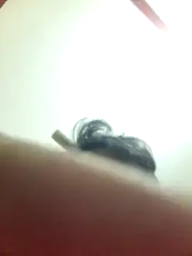 Snapshot of Marvelous_Piyush chatting on 03-06-25, 08:19 Marvelous Piyush online show from 03-06-25, 08:19