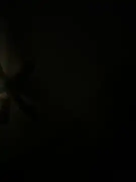 Snapshot of biggzee6 chatting on 04-17-26, 11:24 biggzee6 online show from 04-17-26, 11:24