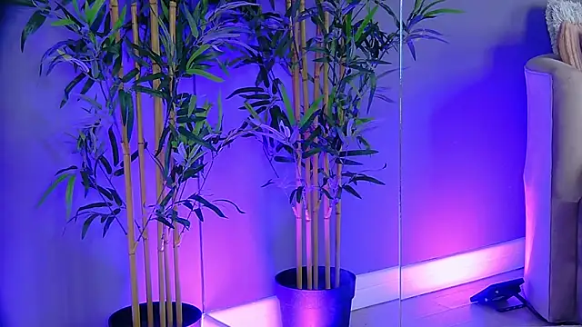 PatriciaSpice online show from 11-13-25, 05:22