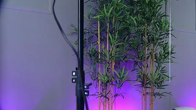 PatriciaSpice online show from 01-15-26, 05:33