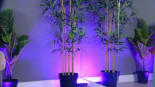 PatriciaSpice online show from 10-27-25, 05:19