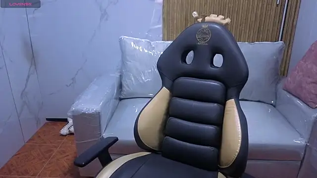 Kitten Cam online show from 12-22-25, 05:18