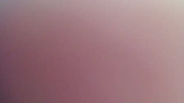 Snapshot of Kitten_Cam chatting on 04-29-26, 10:38 Kitten Cam online show from 04-29-26, 10:38