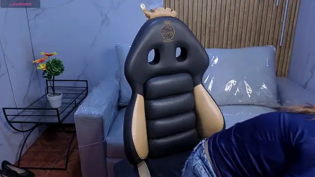 Kitten Cam online show from 02-12-26, 02:44