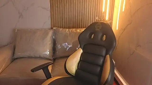 Kitten Cam online show from 11-26-25, 03:17