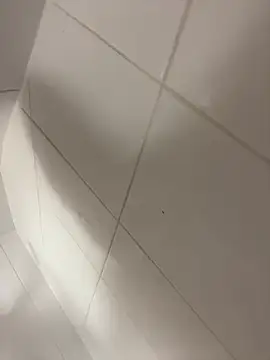 Snapshot of wyattstone chatting on 02-07-26, 09:56 wyattstone online show from 02-07-26, 09:56