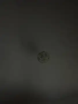 wyattstone online show from 10-31-25, 03:25