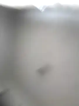 Godessofpleasxa online show from 12-16-25, 08:07