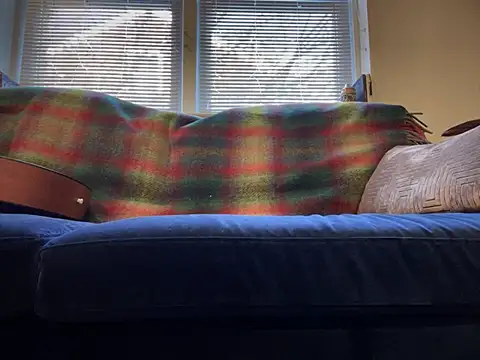 Snapshot of Prolapse_Pig chatting on 02-04-25, 09:20 Prolapse Pig online show from 02-04-25, 09:20