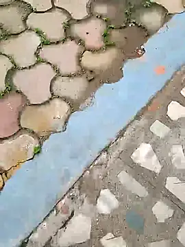 Raj41 online show from 10-05-25, 04:25