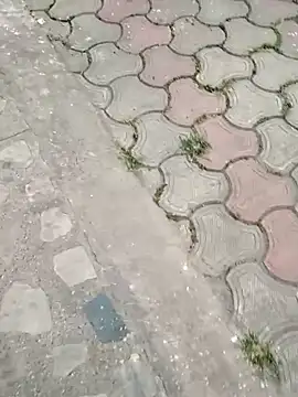 Raj41 online show from 03-02-25, 01:37