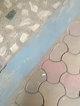 Raj41 online show from 01-19-26, 04:27