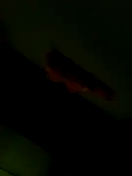 Raj41 online show from 01-06-26, 12:58