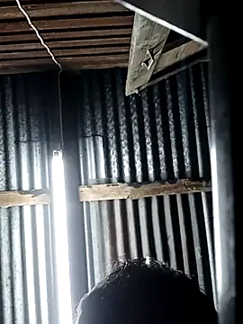 Pleum99 online show from 01-20-25, 07:46