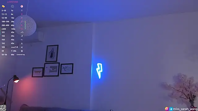 sarah wang online show from 04-09-26, 05:08