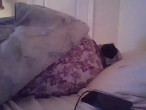 Snapshot of angeliquebelcali chatting on 03-17-25, 06:29 angeliquebelcali online show from 03-17-25, 06:29