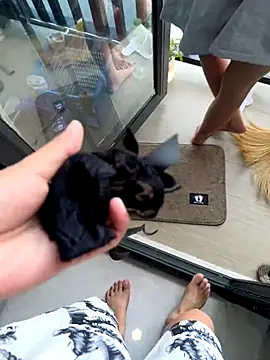 TOP po online show from 10-30-25, 03:27