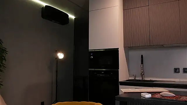 Sofa 01 online show from 02-01-26, 02:59