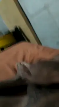 Jxffffv online show from 02-24-25, 12:20