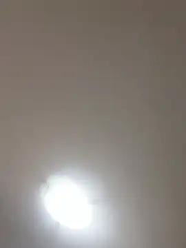 Snapshot of topina8 chatting on 05-18-26, 02:00 topina8 online show from 05-18-26, 02:00