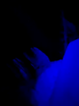 Jagebabe13 online show from 12-02-25, 03:30