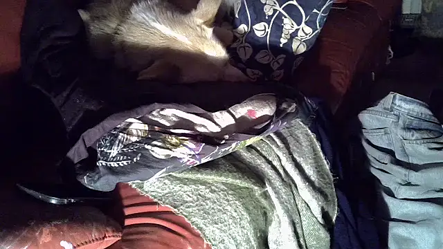 Snapshot of Damn_bro23 chatting on 01-15-26, 12:47 Damn bro23 online show from 01-15-26, 12:47